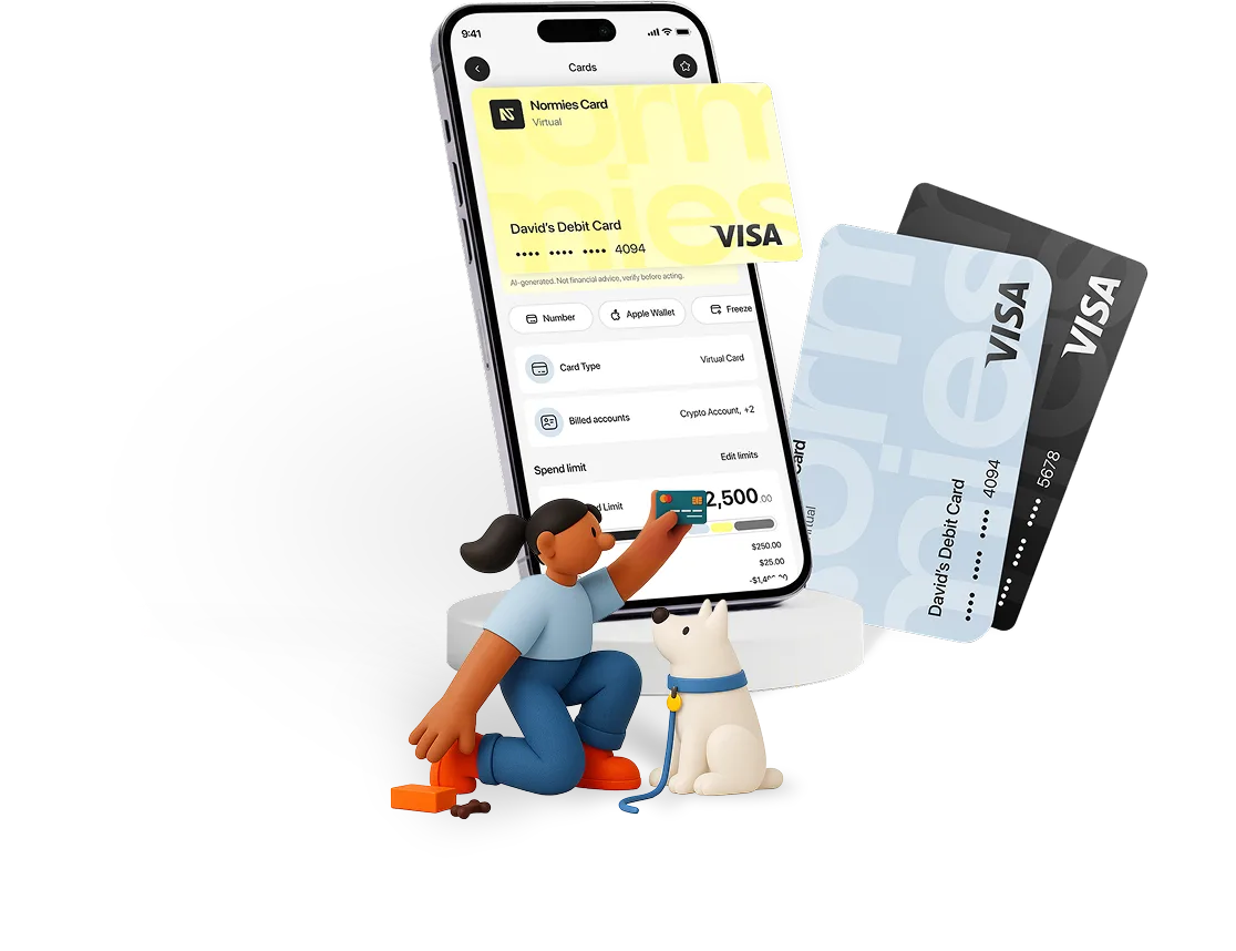 Normies card mobile view — spend stablecoins anywhere with zero fees